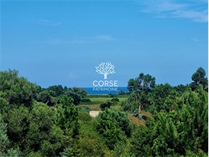 villa à la vente -   20240  SOLARO, surface 215 m2 vente villa - UBI477101003